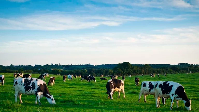 Conheça os benefícios do biogás na produção da energia renovável 
